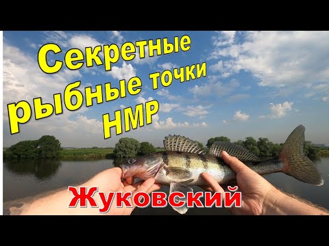 Видео: Секретные рыбные точки. Нижняя Моква река. Жуковский. Рыбалка на хэвиджиг.