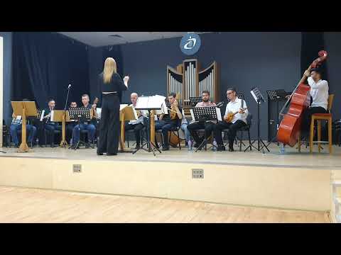Видео: "ТОВА Е БЪЛГАРИЯ" Северозападна България музика Милчо Василев АМТИИ гр.ПЛОВДИВ