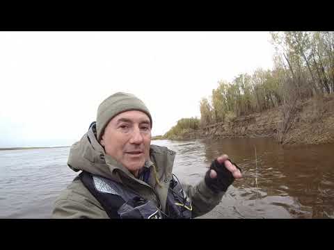 Видео: Рыбалка , Спиннинг , Осень , Обь 2023 года