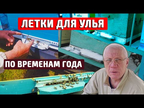 Видео: Леток на Улей. СЕКРЕТЫ об Ульевых Летках для пчел по Временам года.