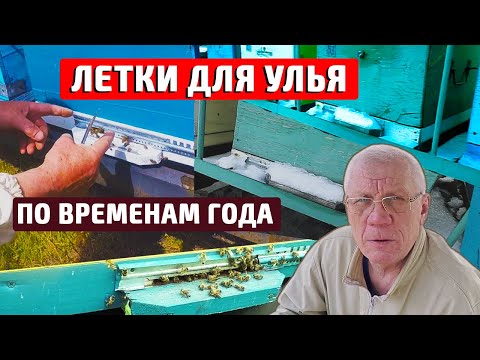 Видео: Леток на улей Всё об ульевых летках по временам года