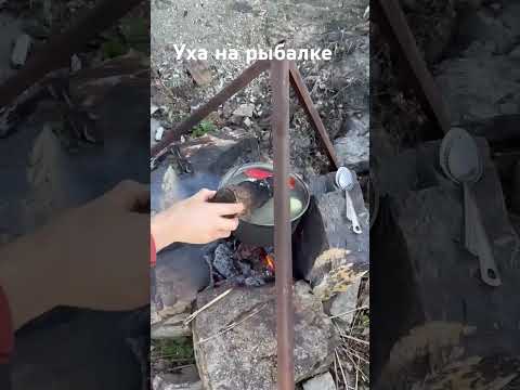 Видео: 29 сентября 2025 г.