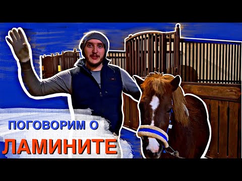 Видео: Больные копыта пони. Реанимация движений. Теория ламинита.