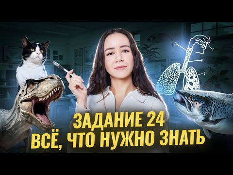 Видео: Задание 24 | Полный разбор для ЕГЭ по биологии | Умскул