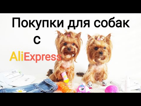 Видео: Покупки с AliExpress для собак
