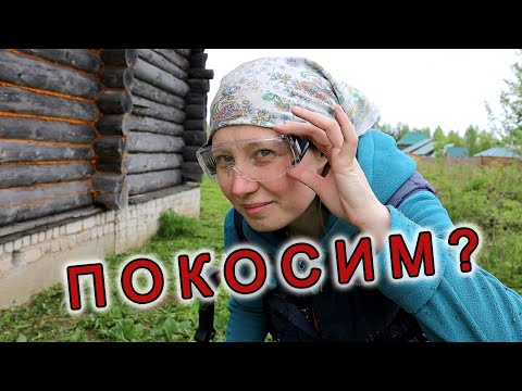 Видео: Покосим? Кошу бензокосой траву на участке у дома