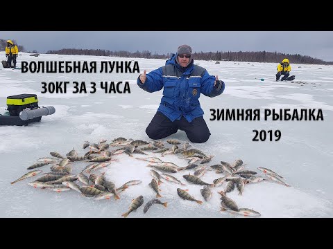 Видео: РАЗДАЧА КРУПНОГО ОКУНЯ 2019 | ВОЛШЕБНАЯ ЛУНКА | ЗИМНЯЯ РЫБАЛКА В Финляндии, Архипелаг Вааса