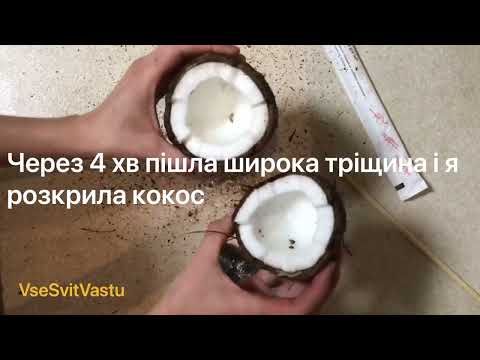 Видео: Як розкрити кокос? Як розбити кокос в домашніх умовах? Як розкритикокос швидко?