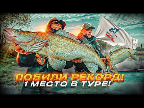 Видео: НОВЫЙ РЕКОРД PAl! Мы взяли ПЕРВОЕ МЕСТО в туре! Судак явно нам подыгрывал) Pro Anglers League 2022