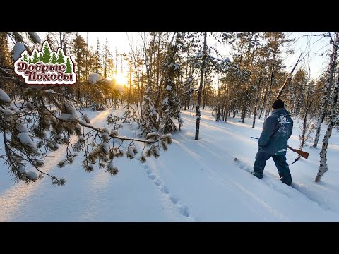 Видео: Поход в лес с батей. Новые лыжи Шатун.  Добрые походы.