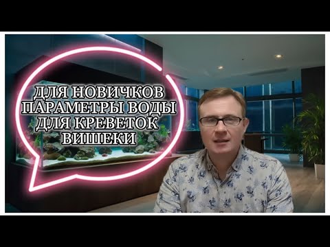 Видео: Параметры воды для креветок вишенок Для новичков
