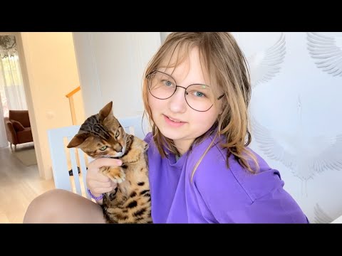 Видео: Наша кошка умеет не только пакостить по углам