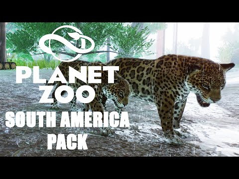 Видео: ЯГУАРЫ! #3 PLANET ZOO SOUTH AMERICA PACK