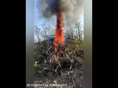 Видео: 30.10.2024 год 1алхан юрт Къохцал Ирзе Майда Курчлой Кешниш.