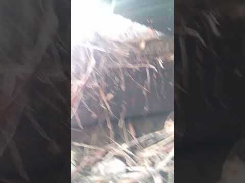 Видео: ❄️🔥🪵Бьётся в тесной буржуйке огонь. 🪵🔥❄️