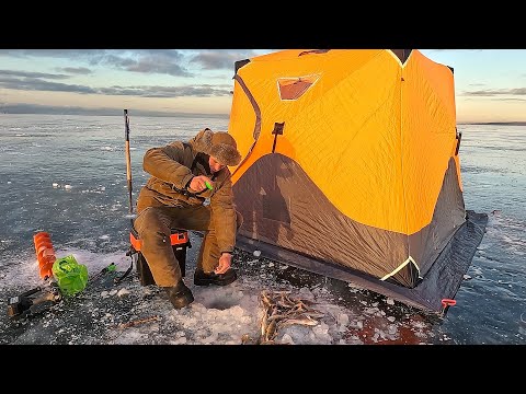 Видео: МЫ ЕГО НАШЛИ! Рыбалка на окуня и открытие сезона 2024-25г