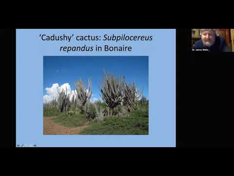 Видео: Джеймс Ф  Уайт сделал  переворот в почвенной биологии?!