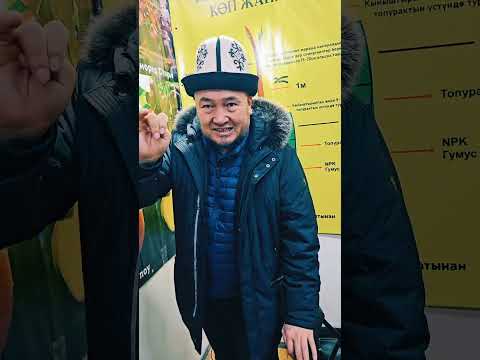 Видео: Бак отургузуу идеяны колдогула