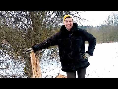 Видео: Кресло из пня. мастер класс))