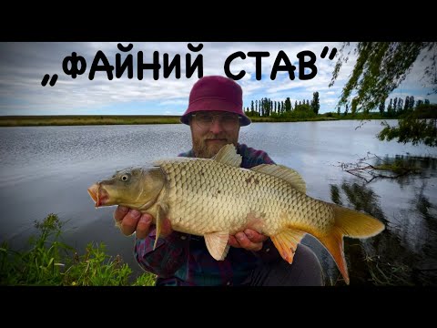 Видео: „ФАЙНИЙ СТАВ“|ЛОВЛЮ КАРПА НА ПІКЕР