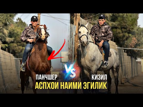 Видео: АСПХОИ Эгилика бен 👍6 февраля 2024 г.