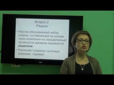 Видео: Козина Е.А. Основные элементы системы нормированного кормления.