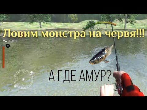 Видео: Ultimate Fishing Simulator | Ловля трофейного угря и не только | В поисках амура | Сент-Дод