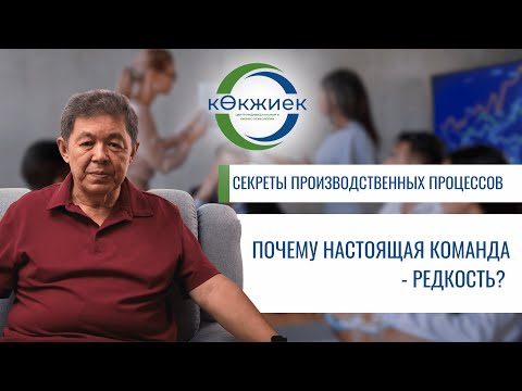 Видео: Почему настоящая команда —редкость? Только 13% руководителей в Казахстане умеют строить её правильно
