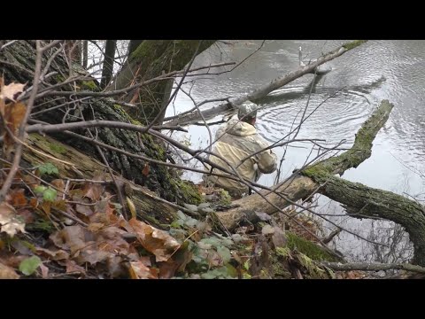 Видео: Ловля щуки на спиннинг осенью, ловля щуки на живца в ноябре!