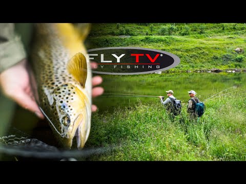 Видео: FLY TV - Ловля Нахлыстом На Сухую Мушку В Норвегии