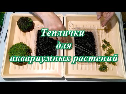 Видео: Теплички для аквариумных растений