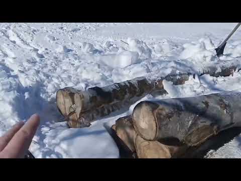 Видео: заготовка дров,начало,17 марта 2022г