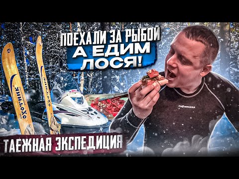 Видео: Таёжная экспедиция/Карпаччо из лося/Лютый меняет псевдоним на Невезучий
