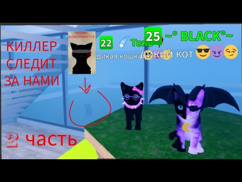 Видео: Игра с котятами КИЛЛЕР СЛЕДИТ ЗА НАМИ #2