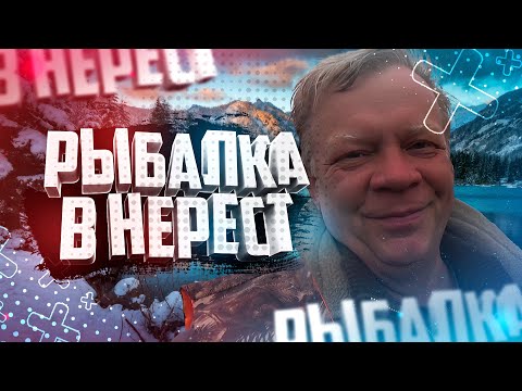 Видео: Можно ли ловить рыбу в нерестовый запрет Рыбалка и Рыбоохрана