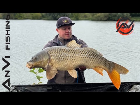 Видео: ОСІННІ КОРОПИ НА 10+