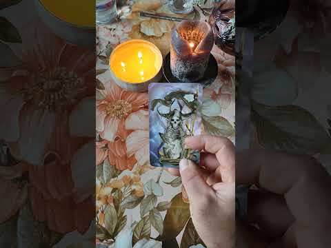 Видео: Какво ново идва към вас!