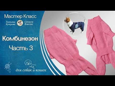Видео: Комбинезон для собак и кошек спицами, часть 3 ,DIY suit for dogs & cats