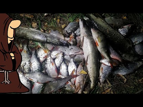 Видео: Набили полный садок рыбы! Шикарная рыбалка на донки с берега  Крупная плотва на горох