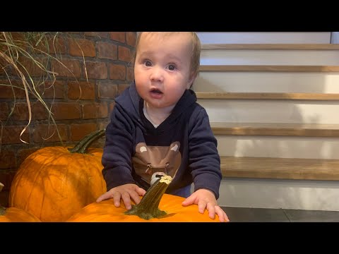 Видео: Василька и моя сем’я в прямом эфире!