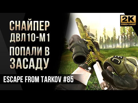 Видео: Снайпер с ДВЛ-10 • Попали в засаду • Escape from Tarkov №85 [2K]