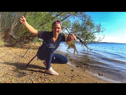 Видео: Донки крокодил  ОСНАСТКА  Рыбалка на реке  Ловлю на САЛО  Russian fishing