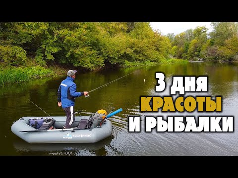Видео: ОСЕННИЙ рыболовный сплав по реке Псёл.