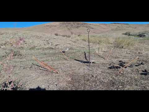 Видео: 2 октября 2025 г.