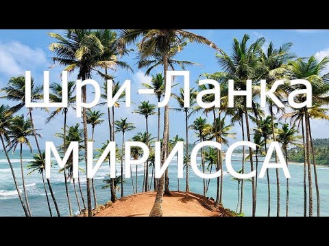 Видео: Шри Ланка  Мирисса — рай ли для отдыха?