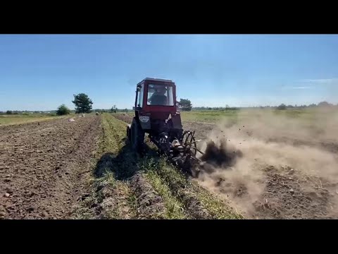 Видео: Копаєм картоплю трактором т 25 і кінною копачкою!