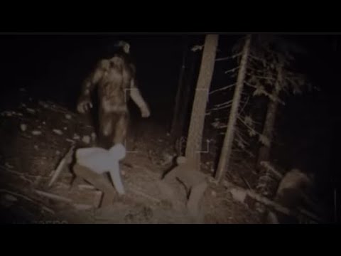 Видео: «Я лесоруб, и снежный человек наводил на нас ужас»История встречи со снежным человеком 