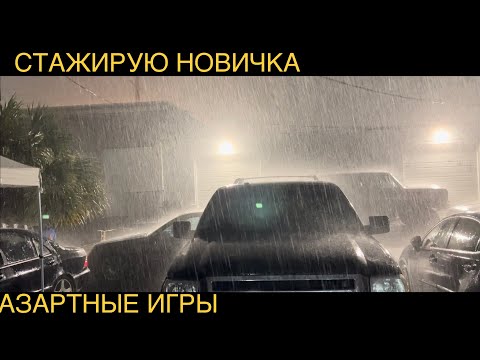 Видео: У нас завелись ОСЫ 🐝 катаюсь со стажером
