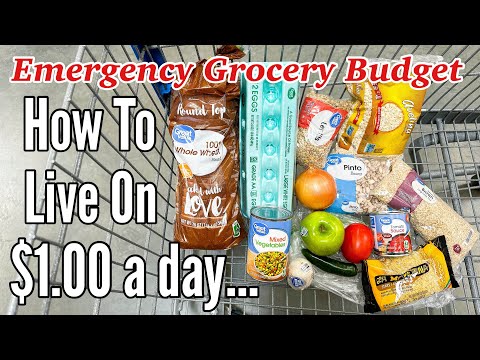 Видео: Еда за 1 доллар в день (целая неделя)