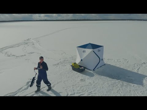 Видео: Утаскивают удочки в лунку! Зимняя рыбалка на озере Жижицкое.